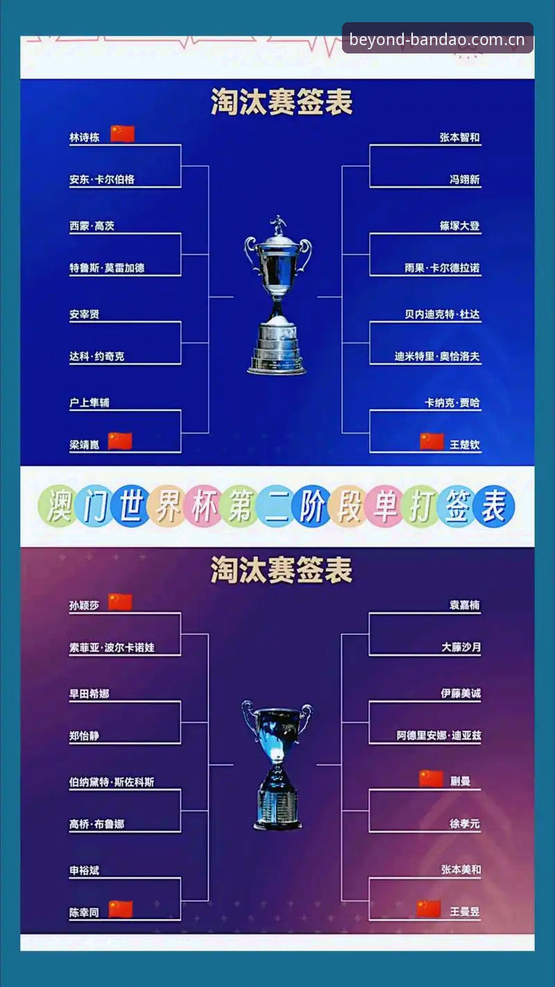 半岛体育平台导航怎么样 资深球迷分享U17世界杯抽签观战心得,半岛体育平台导航体验全解析