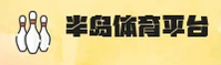 使用指南与常见问题